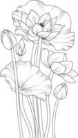 desenho de flor de lótus, um ramo da coleção de primavera botânica, arte vetorial de ilustração de tinta de buquê de nenúfar, desenhado à mão artisticamente, lótus egípcio, páginas fáceis para colorir de flores e livro. vetor
