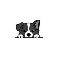lindo cachorrinho border collie espiando desenho animado, ilustração vetorial vetor