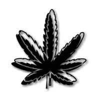 silhueta de uma folha de cannabis e com sombra vetor