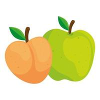 frutas frescas, pêssego e maçã verde, em fundo branco vetor