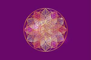 flor da vida, mandala espiritual dourada, geometria sagrada. símbolo dourado brilhante de harmonia e equilíbrio. talismã místico, vetor de lótus de luxo isolado em fundo roxo