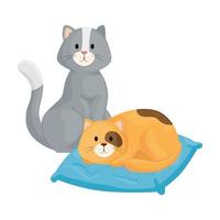 gatinhos fofos com ícone de almofada isolada vetor
