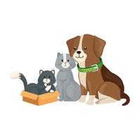 gatos fofos e animais cachorros com caixa de papelão vetor