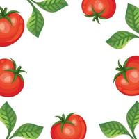 moldura de tomates frescos e folhas vetor