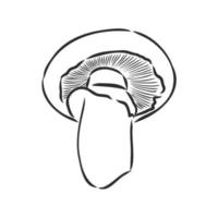 desenho vetorial de champignon vetor