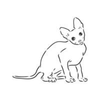 desenho vetorial de gato vetor