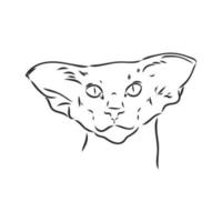 desenho vetorial de gato vetor