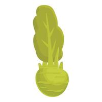 vetor de desenhos animados de ícone de couve-rábano. vegetal saudável