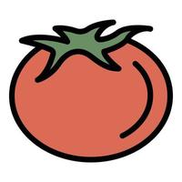 vetor de contorno de cor de ícone de tomate de jardim