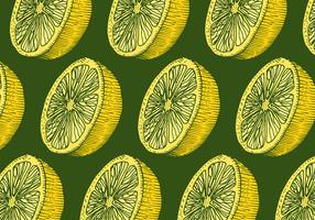 padrão retro de limão vetor