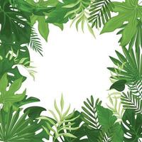 quadro tropical com folhas de palmeira em um quadrado. panfleto havaiano com folhas de palmeira isoladas no fundo branco. vetor