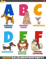coleção de alfabeto de desenhos animados com raças de cães vetor