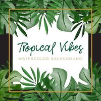 fundo aquarela com conceito tropical verde vetor