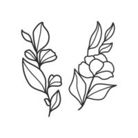 coleção floresta samambaia eucalipto arte folhagem folhas naturais ervas em estilo de linha. ilustração elegante de beleza decorativa para flor desenhada à mão vetor