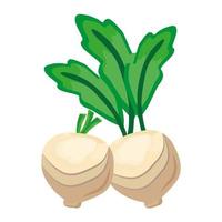 ícone de comida saudável de cebolas de vegetais frescas vetor