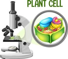 microscópio com diagrama de células vegetais vetor