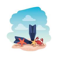 chinelos de verão e caranguejo com estrela do mar vetor