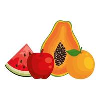 grupo de frutas frescas alimentos saudáveis vetor