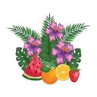 frutas com folhas, palmas e flores vetor