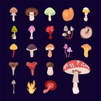 conjunto de ícones de fungo e cogumelo vetor