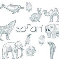 conjunto de animais safari desenhado à mão vetor