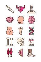 conjunto educacional de ícones de órgãos e partes do corpo vetor
