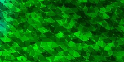 fundo vector verde claro com estilo poligonal.