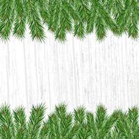 ramos verdes de abeto ou pinheiro em fundo cinza. vector fundo festivo com espaço para texto. fundo de natal e ano novo.