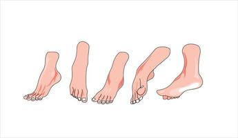 conjunto de ilustração vetorial de pés de homens em fundo branco vetor