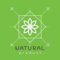 modelo de design de logotipo de produto natural. ramo com folhas verdes vetor