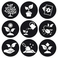conjunto de ícones de crescimento de planta. branco em um fundo preto vetor
