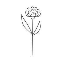 ilustração desenhada à mão de flores vetor