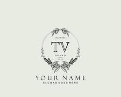 monograma de beleza de tv inicial e design de logotipo elegante, logotipo de caligrafia de assinatura inicial, casamento, moda, floral e botânico com modelo criativo. vetor