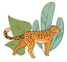 leopardo andando por folhas largas flora, habitat vetor