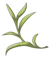 folha de planta, erva ou folhagem de planta de casa exótica vetor
