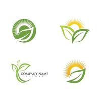 logotipos da ecologia de folhas verdes vetor