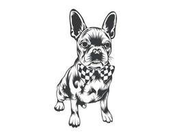 ilustração vetorial da raça boston terrier, vetor de cachorro boston terrier em fundo branco para camiseta, logotipo e outros