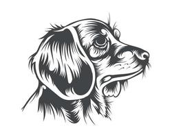ilustração vetorial de raça de cachorro bassê, vetor de cachorro bassê em fundo branco para camiseta, logotipo e outros