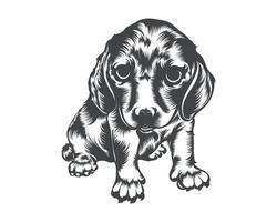 ilustração vetorial de raça de cachorro bassê, vetor de cachorro bassê em fundo branco para camiseta, logotipo e outros