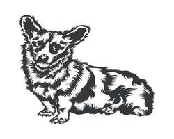 silhueta de ilustração vetorial de cachorro corgi cardigan para camiseta, logotipo, emblemas em fundo branco vetor