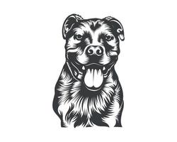 ilustração vetorial de raça de cachorro pitbull, vetor de cachorro pitbull em fundo branco para camiseta, logotipo e outros