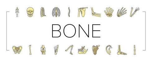 conjunto de ícones de estrutura de esqueleto humano de osso vetor