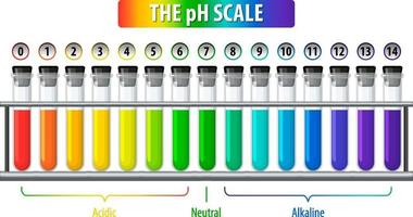 uma escala de ph em fundo branco vetor