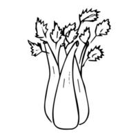 plantas frutas legumes colheita. um menu para o vegetariano. ilustração de rabiscos. vetor