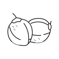 ilustração vetorial de ícone de linha de coco verde coco vetor