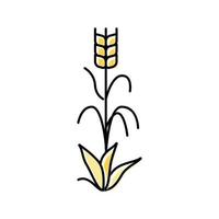 ilustração em vetor ícone de cor de planta de cevada amarela