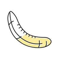 ilustração vetorial de ícone de cor descascada de banana vetor