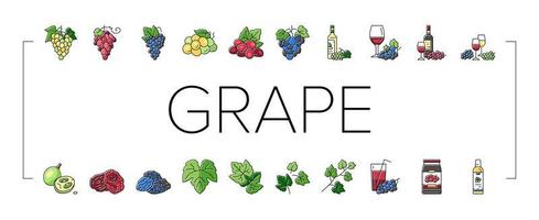 conjunto de ícones de frutas verdes de bando de vinho de uva vetor