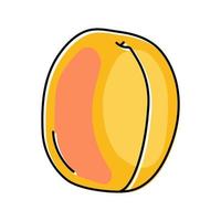 ilustração em vetor ícone de cor de fruta madura de damasco