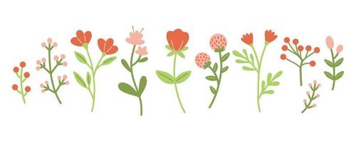 conjunto de plantas florais de jardim. plantas de flor simples doodle isoladas no fundo branco. ilustração vetorial plana colorida vetor